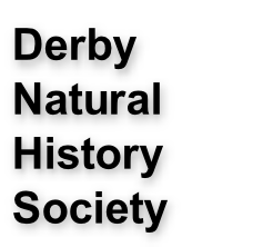 Derby  Natural History Society