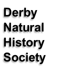 Derby  Natural History Society